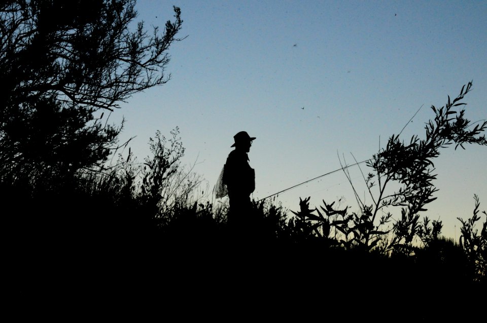 Fly fishing (48756701703)