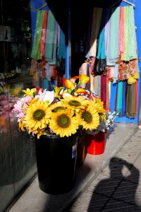 Flores artificiales (15202480458)
