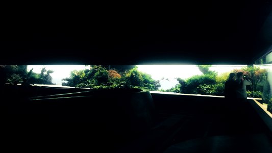 Florestas Submersas by Takashi Amano (31995078117)