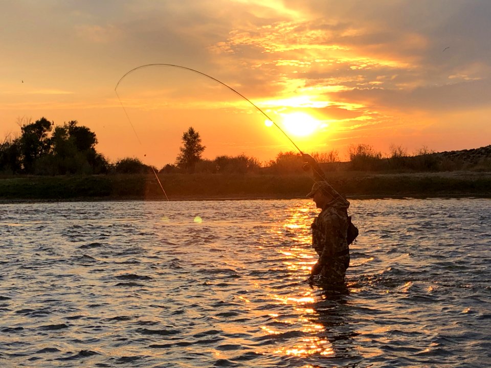 Fly Fishing (51321731772)