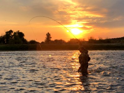 Fly Fishing (51321731772) photo