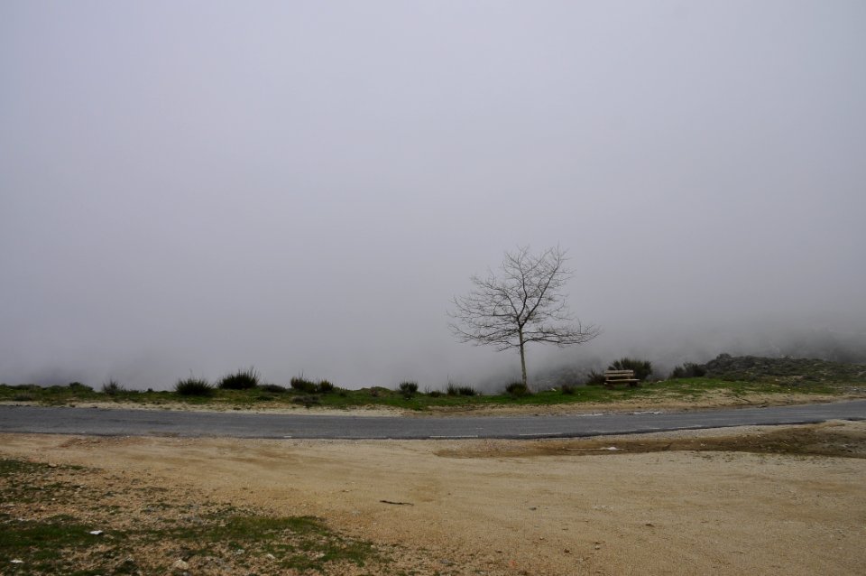 Fog in the mountain (41727899854)
