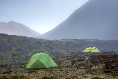 Foggy morning near Bremner (39997586282)