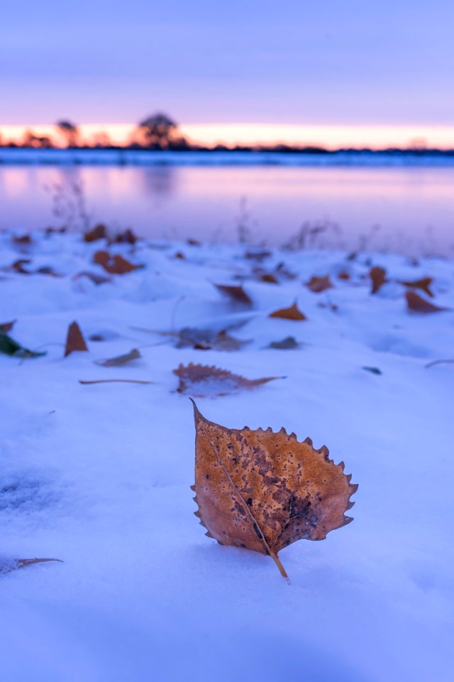 Fresh snow at Gavins Point NFH (50935964002)