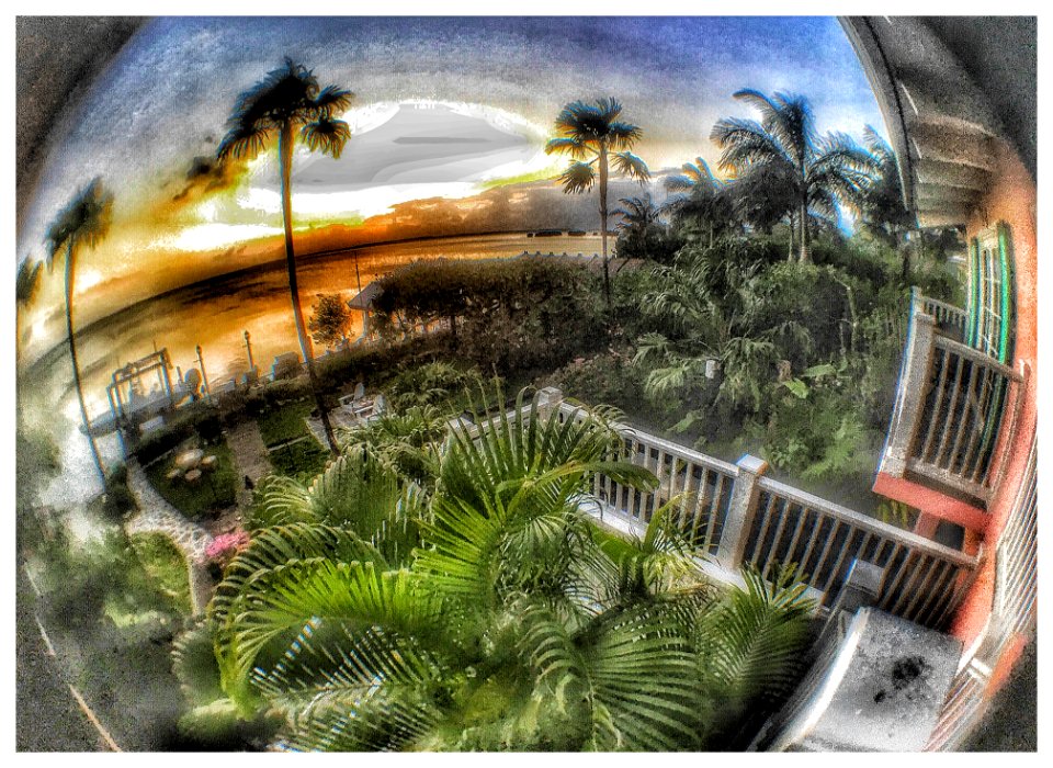 From the Florida Keys (33930826951)