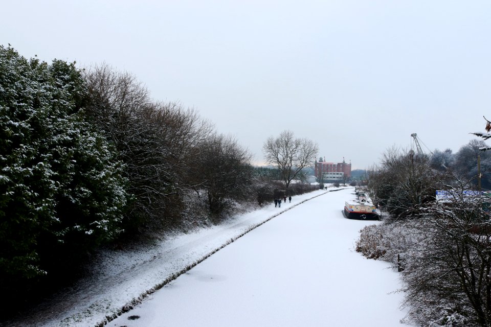 Frozen (50791816947)