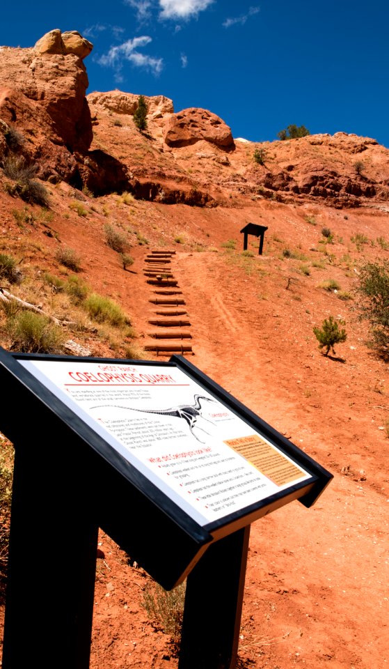 Ghost Ranch NNL (Coelophysis Quarry) (35318999804)