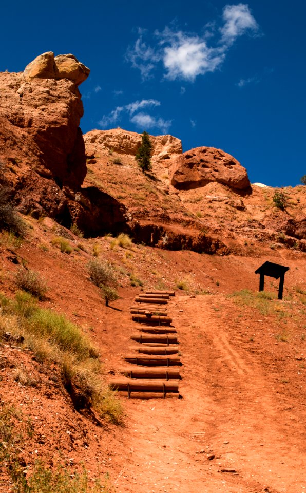 Ghost Ranch NNL (Coelophysis Quarry) (35989977692)