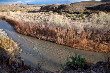 Gila Box Riparian National Conservation Area (26092147534)