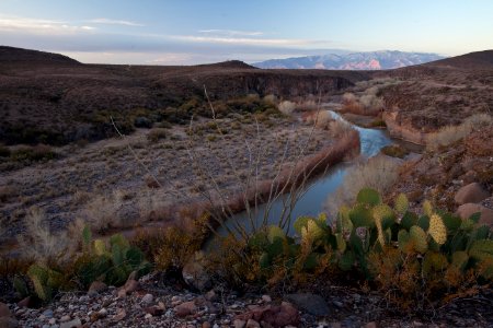 Gila Box Riparian National Conservation Area (26605042422)