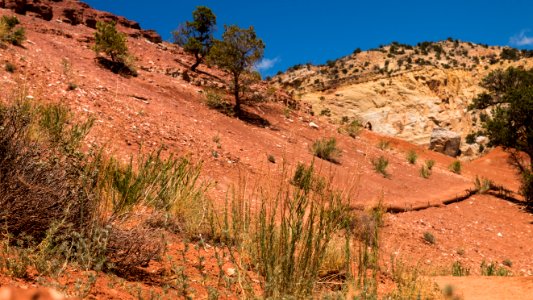 Ghost Ranch NNL (Coelophysis Quarry) (35318997004)