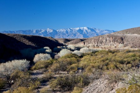 Gila Box Riparian National Conservation Area (26092181664)