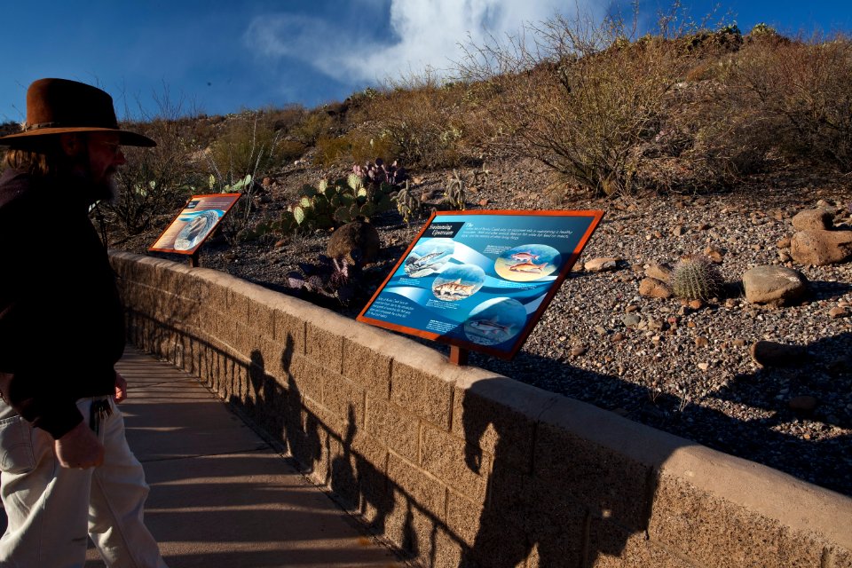 Gila Box Riparian National Conservation Area (26092241634)