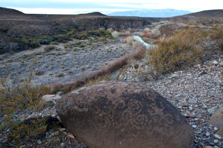 Gila Box Riparian National Conservation Area (26698025425)