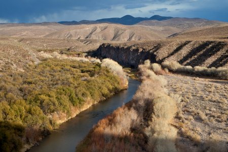 Gila Box Riparian National Conservation Area (26092136684)
