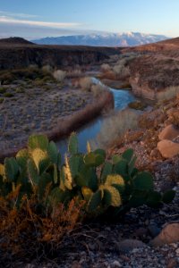 Gila Box Riparian National Conservation Area (26605045482)