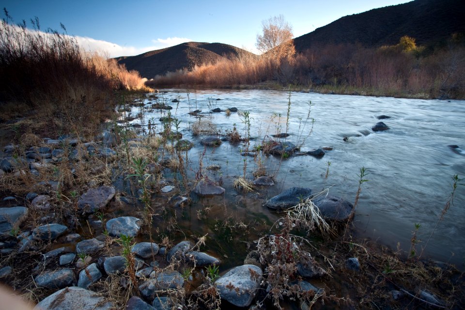 Gila Box Riparian National Conservation Area (26671354866)