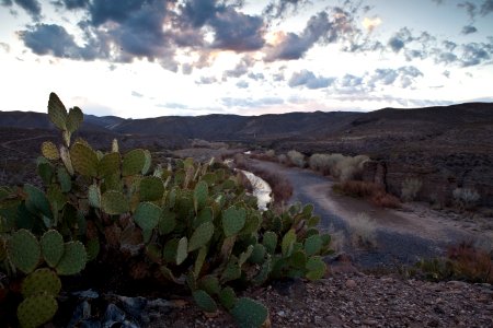 Gila Box Riparian National Conservation Area (26605036832)