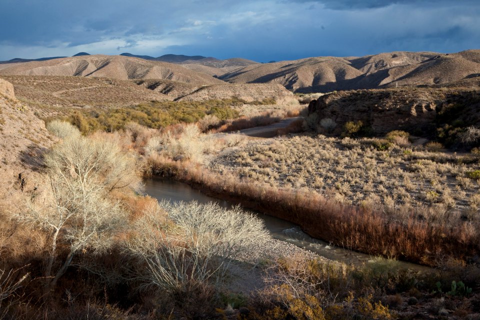 Gila Box Riparian National Conservation Area (26697948585)