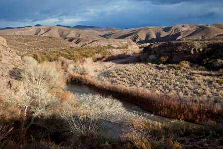 Gila Box Riparian National Conservation Area (26697948585)