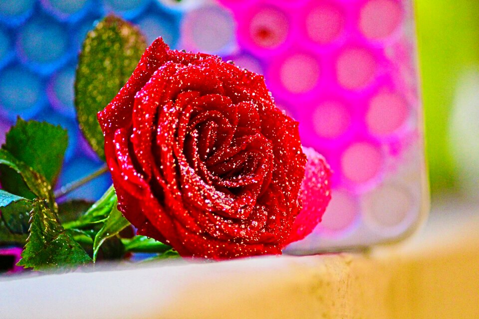 Closeup food decoration