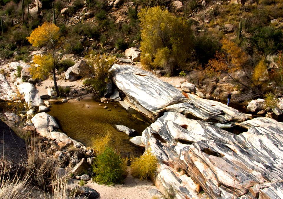 Gneiss Rock Formations (39393198761)