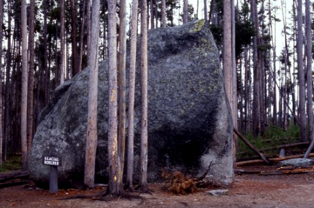 Glacier Landforms Glacial Erratic, Yellowstone National Park (32465053702)