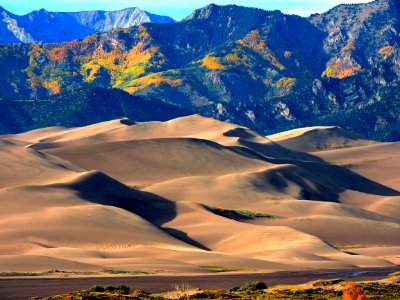 Gold Aspens Above Dunes (29898670852) photo