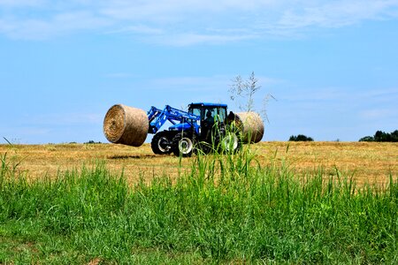 Agriculture field straw photo