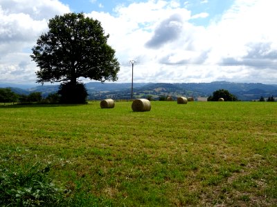 Grande prairie entre Jaleyrac et Boissières, Cantal - 4