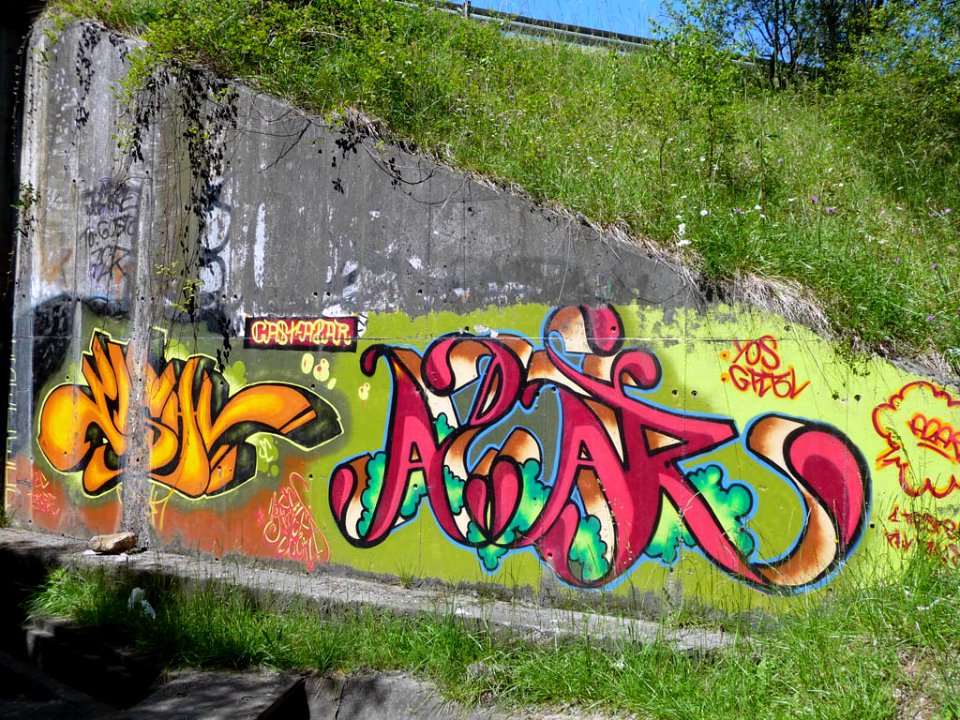 Graffitis (4687623911)