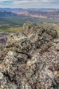 Grand Canyon - Parashant National Monument (26632033641)