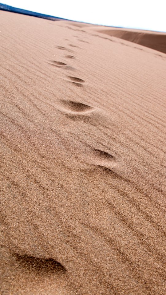 Great Sand Dunes National Park and Preserve (33185212906)