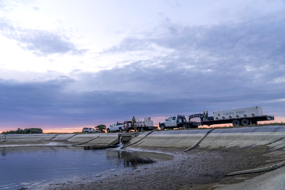 Hatchery Crew at Work (50539610553)