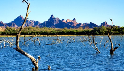 Havasu National Wildlife Refuge (24698545818)