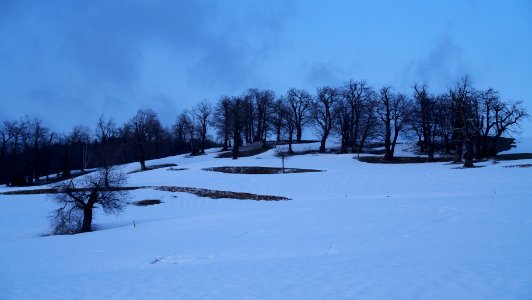 Hill, evening (49645560173)