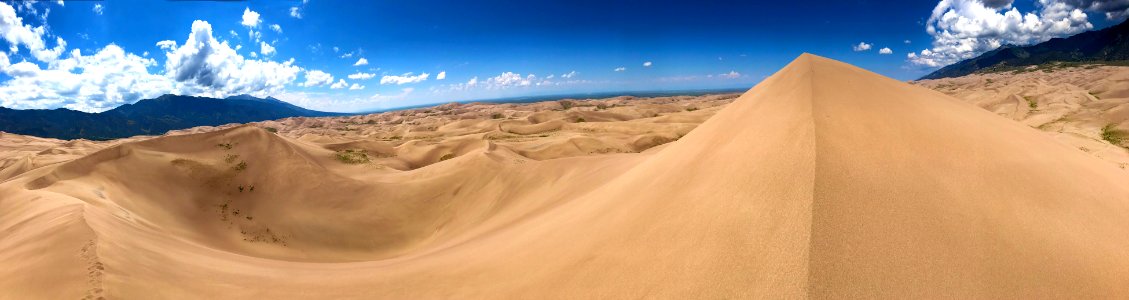 Hidden Dune Summit and Panorama (51343821918)