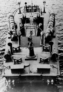 HMS MTB-263 (50958946013)