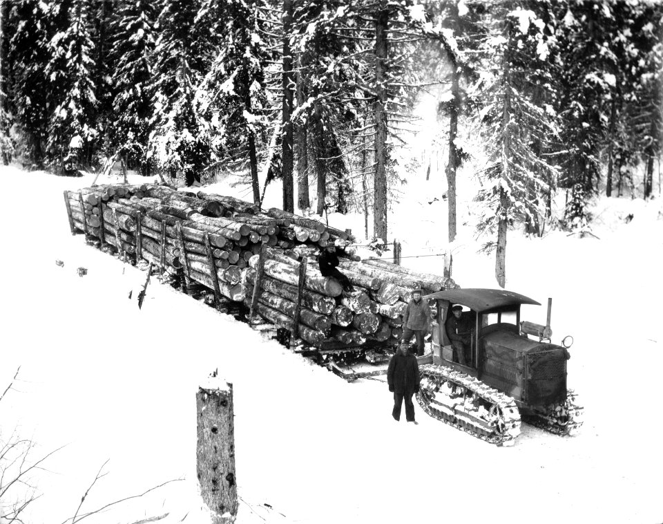 Holt Caterpillar hauling logs Eagle Lake Sawmills, Giscome BC in 1925. (50568818518)
