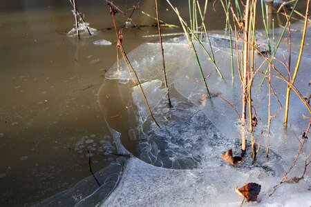Freezing body of water icicle photo
