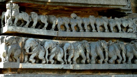 Hoysaleswara elephant reliefs (51057182052)