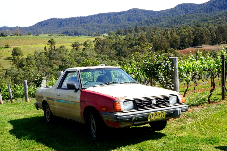 Hunter Valley Vineyards (23646322062)