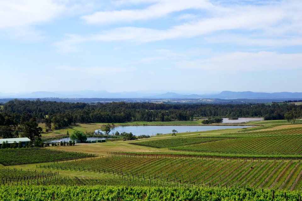 Hunter Valley Vineyards (23728145096)