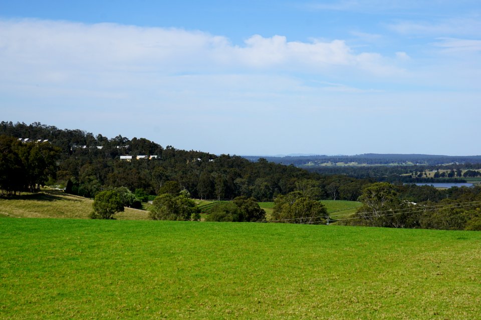 Hunter Valley Vineyards (23646597182)