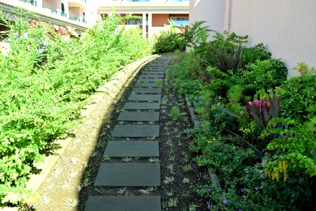 In Nov. 2018 we returned to Madeira. We stayed in the Pestana Royal. (44384633720)