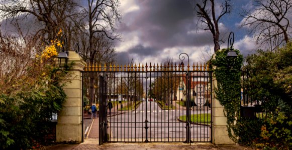 Impossible for this iron gate to contain winter out (49159509222)