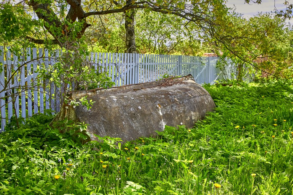 Im Dorf (34868167931)