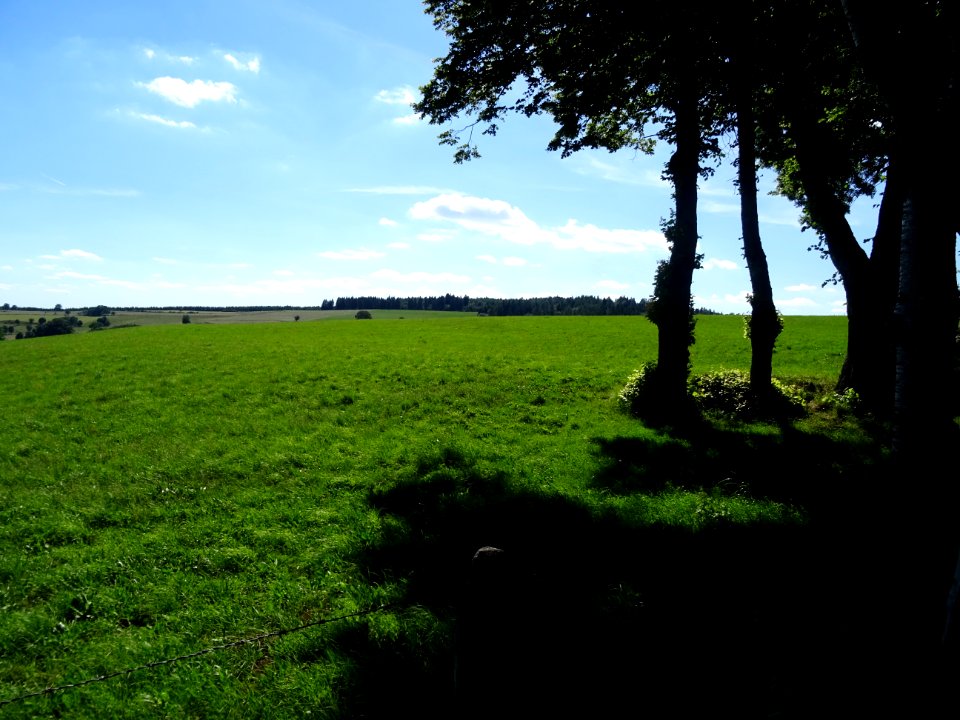 Immenses prairies, entre Cézens et Pierrefort, Cantal