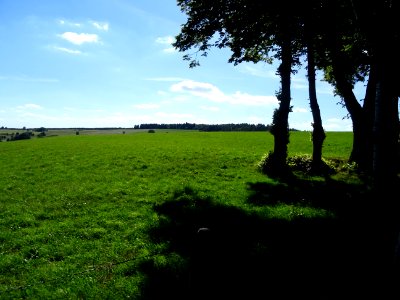 Immenses prairies, entre Cézens et Pierrefort, Cantal