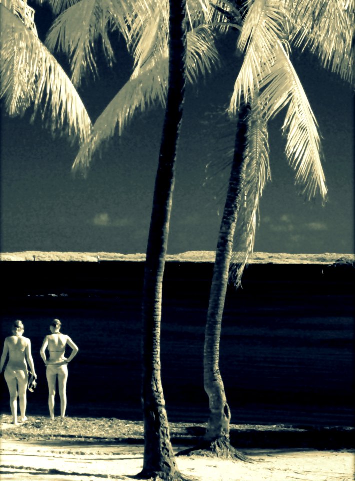 Infrared tropic (33086722731)